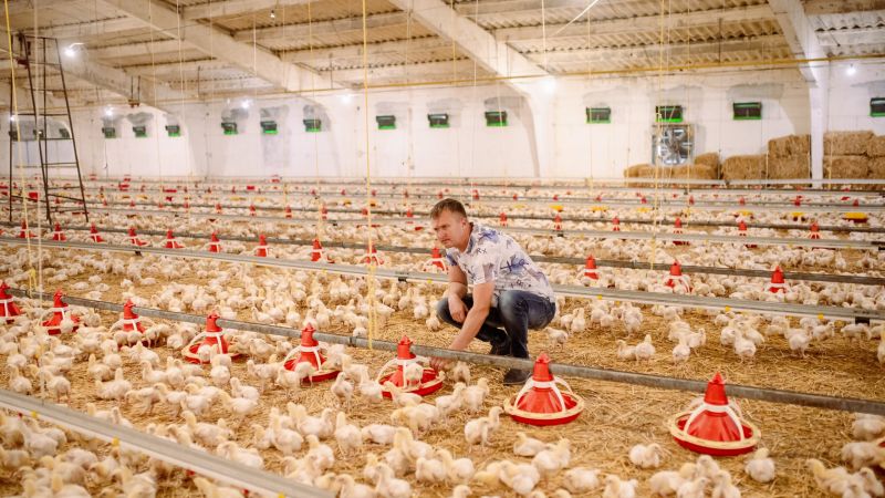 Iurie Flerciuc, un crescător de pui din stânga Nistrului, avea un vis: de a dubla numărul de păsări crescute. Pentru asta, Iurie avea nevoie de resurse financiare suplimentare, indisponibile la acel moment.